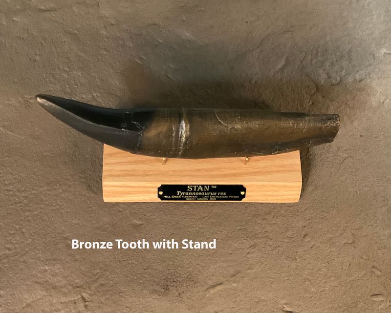 STAN Tyrannosaurus rex ® - Tooth 11.5" Bronze w/Oak base Fossil Replica - Replicas/Models