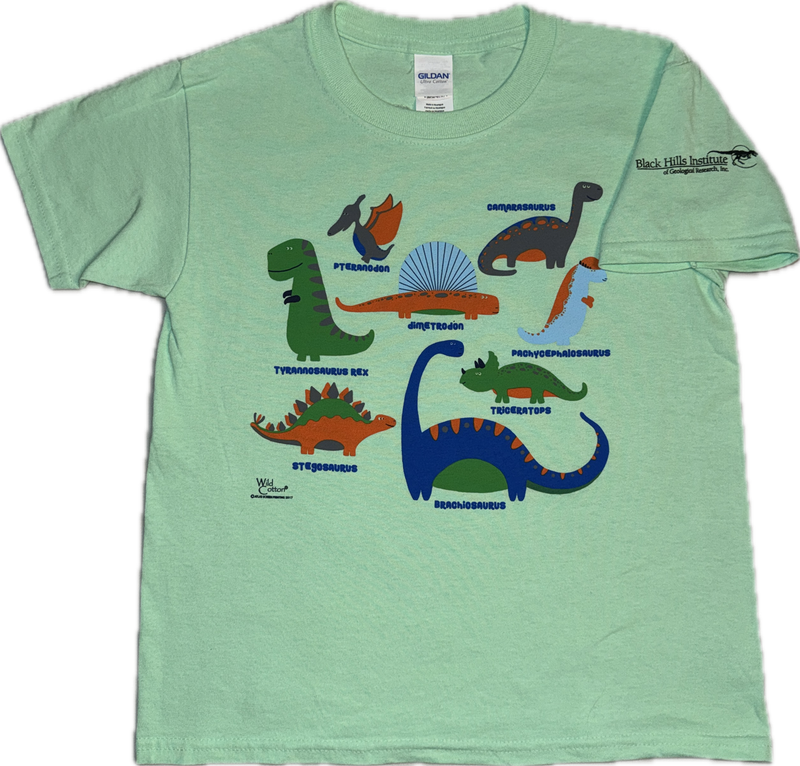 Dino Playland - Youth - Screen Print T-Shirt