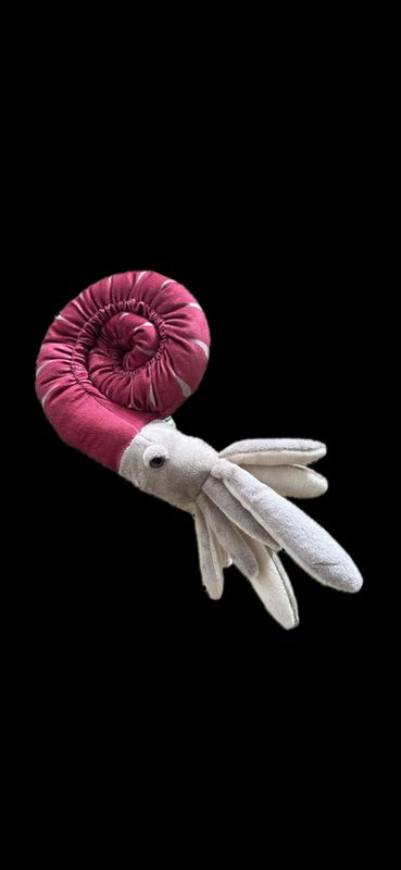 Ammonite - Plush