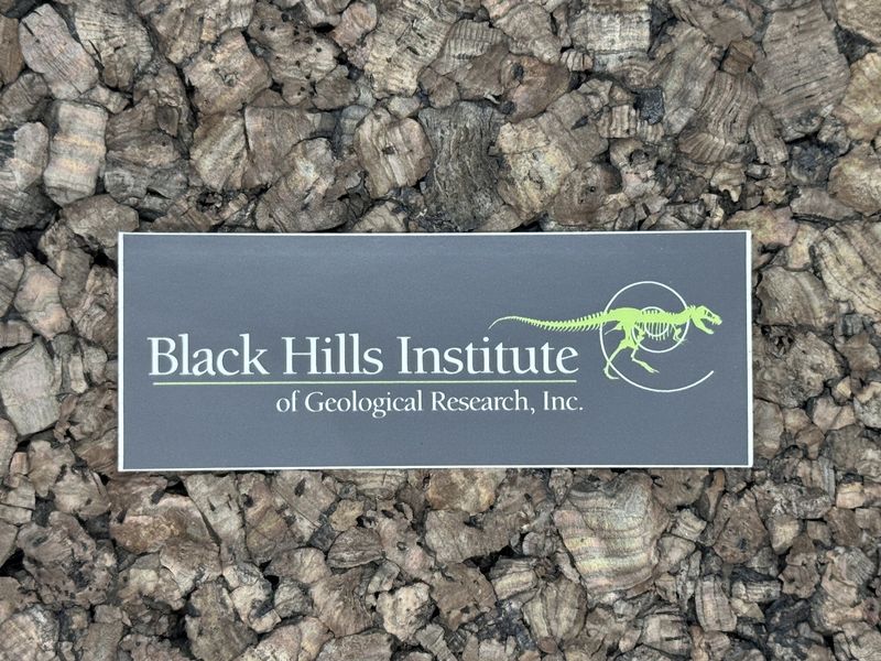 BHIGR Logo 1.5x4 - Sticker