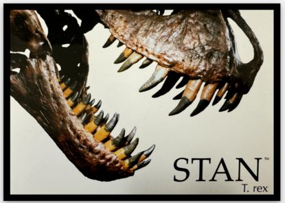 STAN™ Smile - Sticker