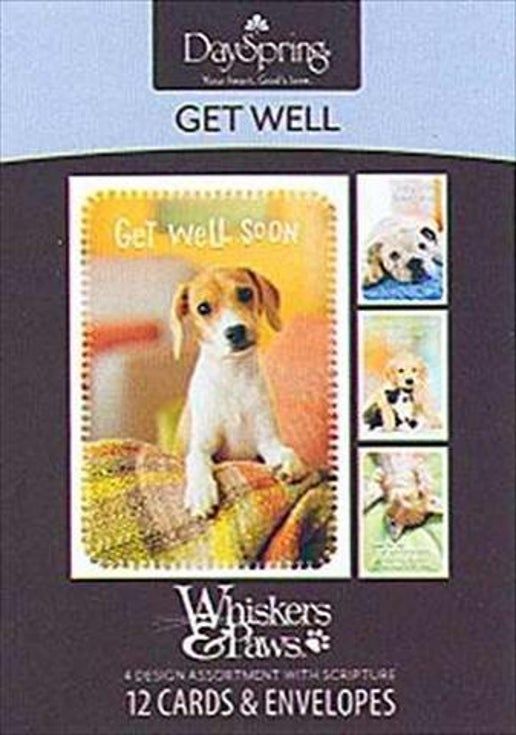 37111-Get Well-Whiskers &amp; Paws (Box of 12)