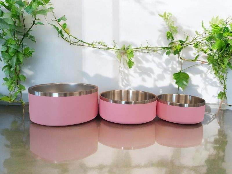 Custom Engraved Dog Bowls