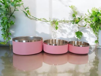 Custom Engraved Dog Bowls