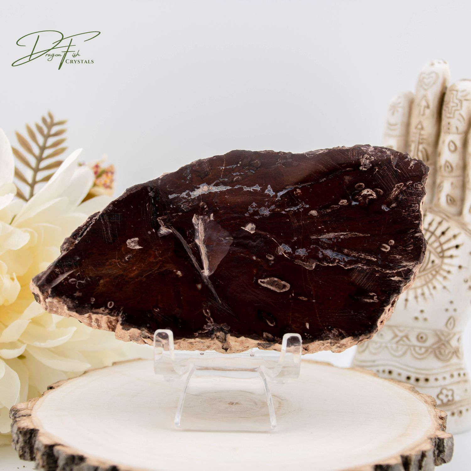 Petrified Wood Slab