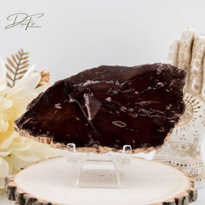 Petrified Wood Slab
