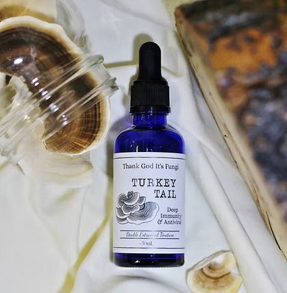 Turkey Tail Tincture