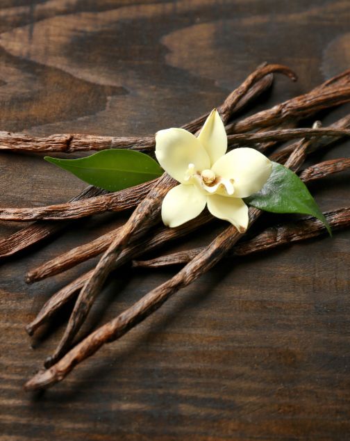 Vanilla Essential Oil