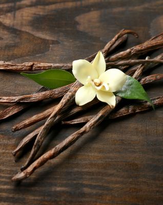 Vanilla Essential Oil Vanilla Essential Oil