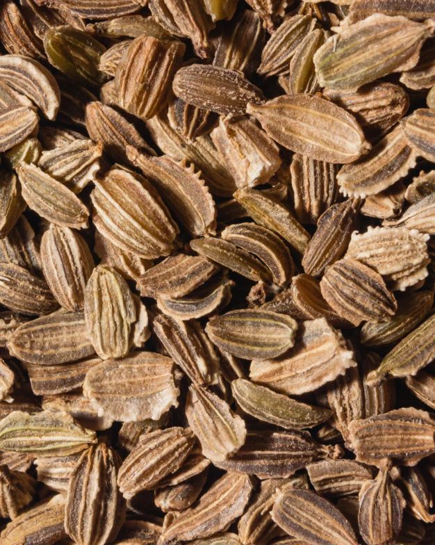 Carrot Seed Essential Oil