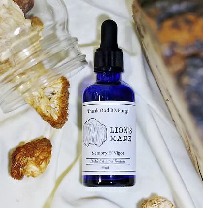 Lion's Mane Tincture