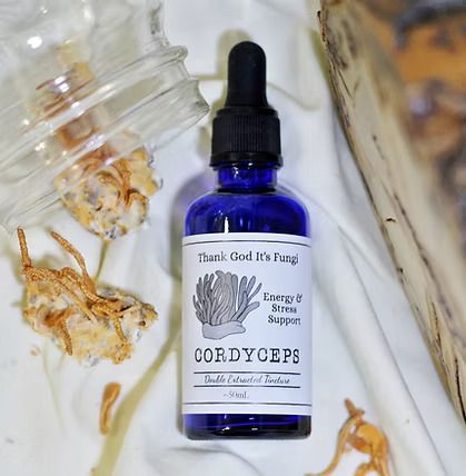 Cordyceps Tincture