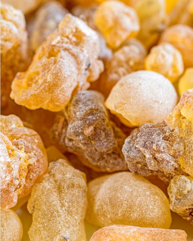 Frankincense Essential Oil Frankincense Essential Oil