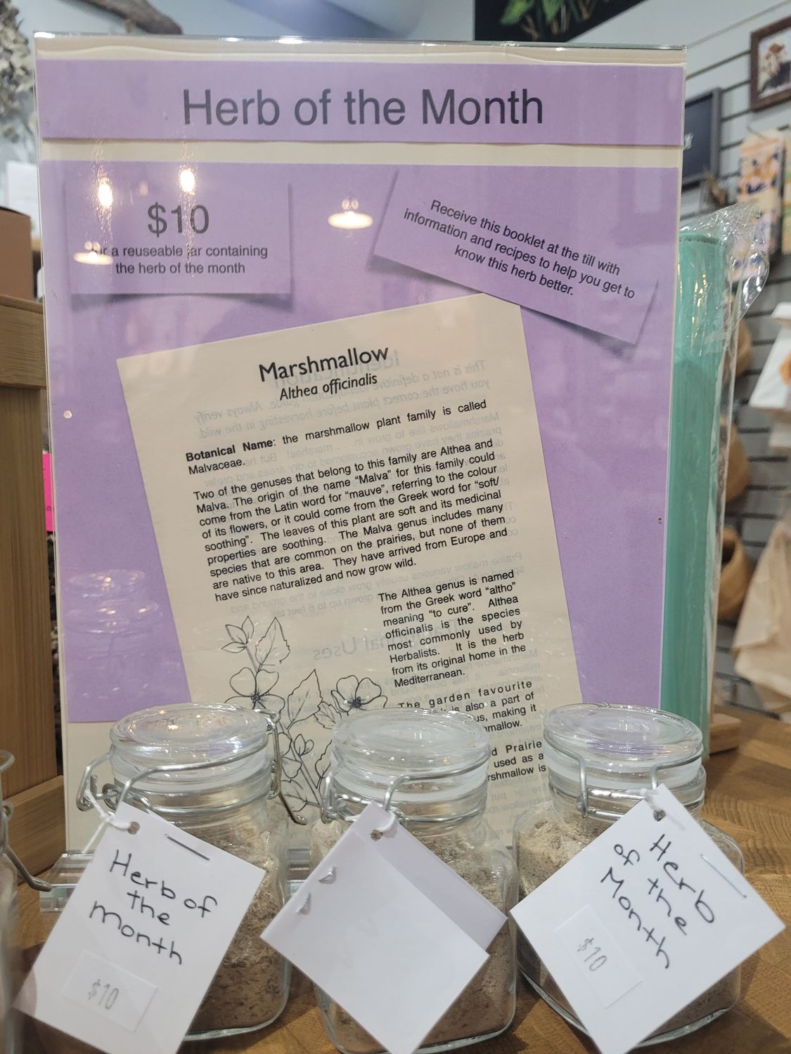 Herb of the Month Herb of the Month