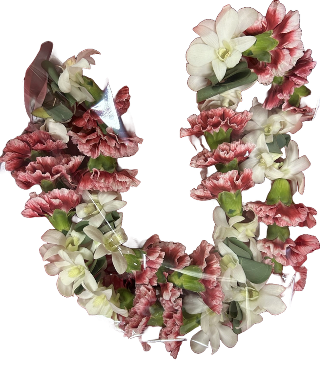 Orchid And Carnation Lei