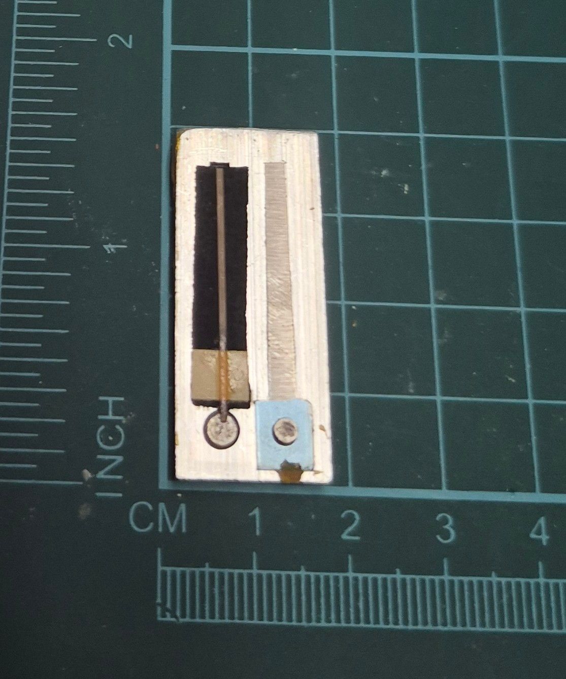 Treble Reed D — Delicia Accordion (585 Hz) | Item #: T1-D-19 🇨🇦