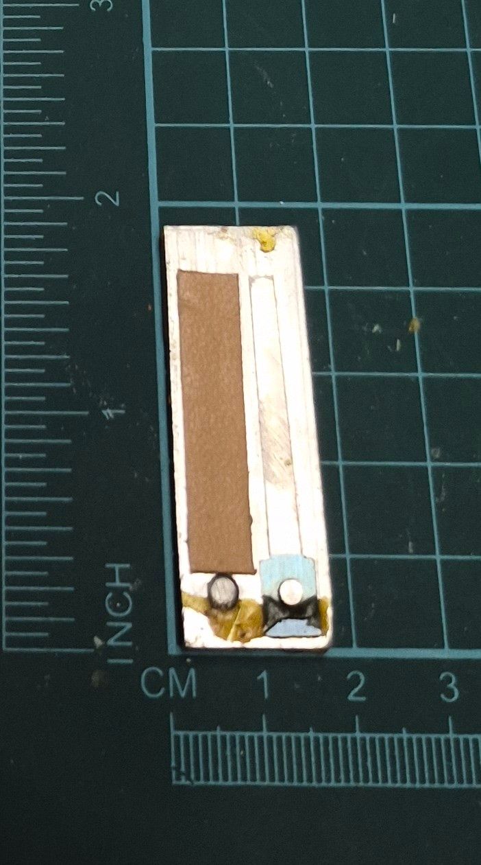 Treble Reed D# — Paolo Soprani (310 Hz) | Item #: T1-D#-39 🇨🇦