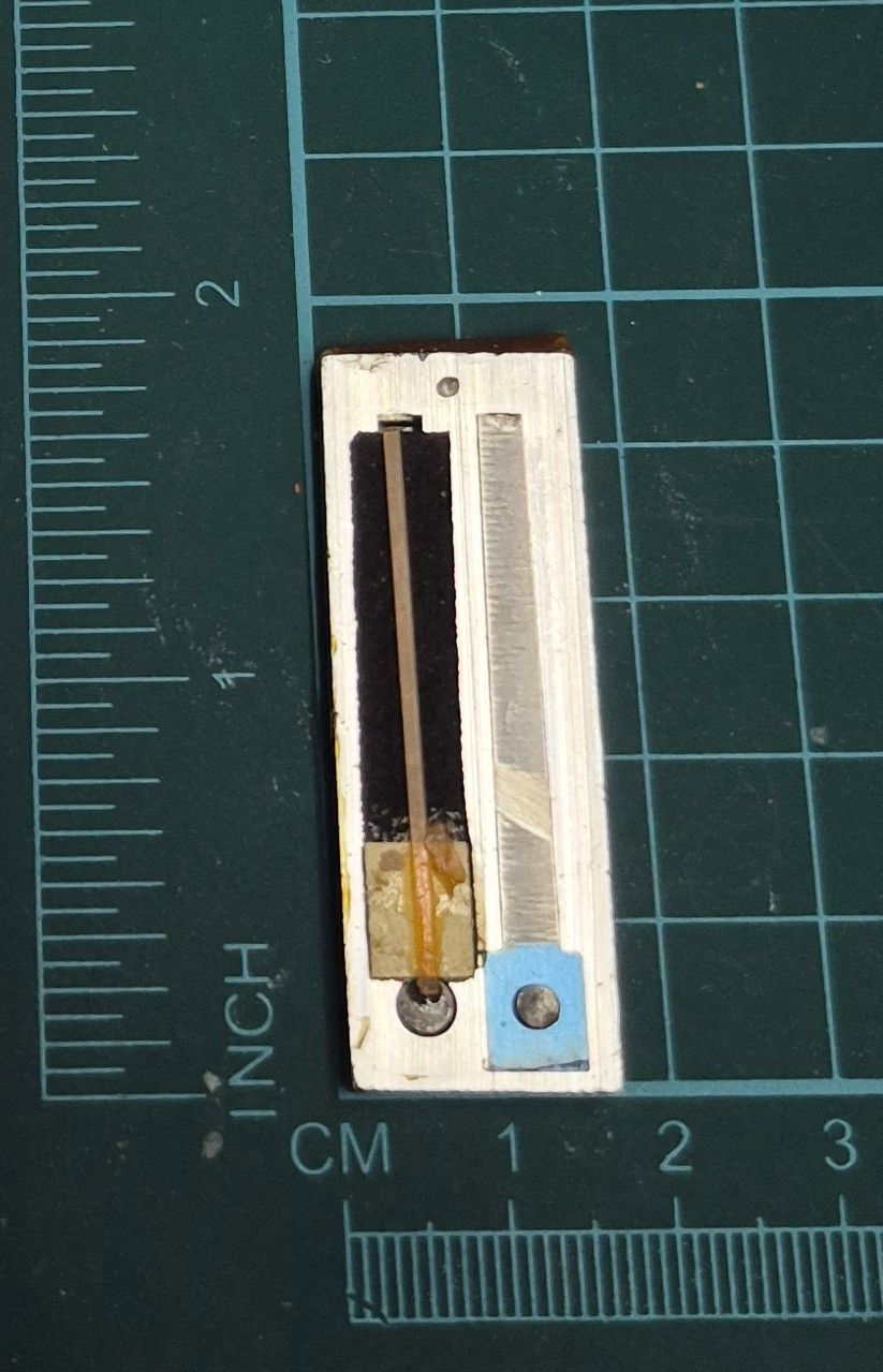 Treble Reed D — Delicia Accordion (297 Hz) | Item #: T1-D-96 🇨🇦