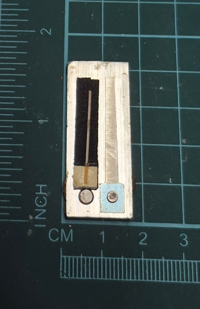 Treble Reed C# — Delicia Accordion (561 Hz) | Item #: T1-C#-61 🇨🇦