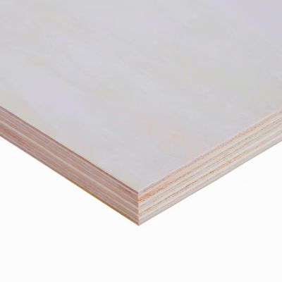 Poplar Plywood