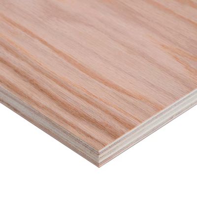 Red Oak Plywood