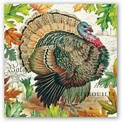 Michel Design Works Cocktail Napkins, Style: Fall Harvest Turkey