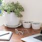 Berry &amp; Thread Ramekin - Whitewash