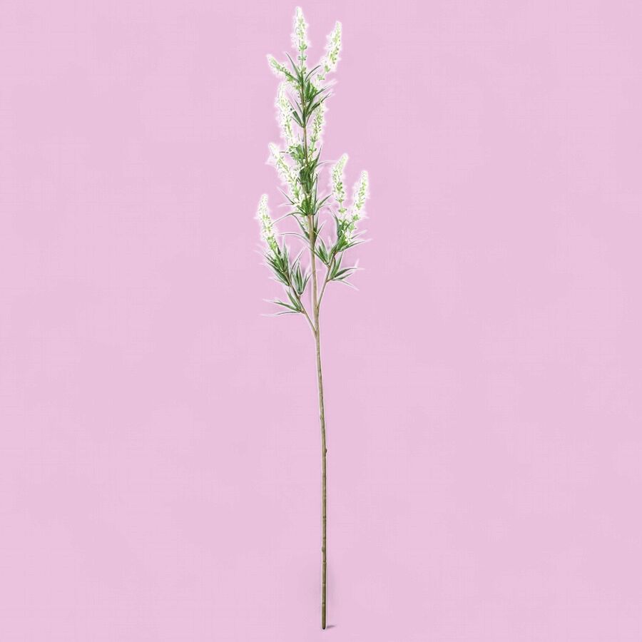 White Golden Rod Stem