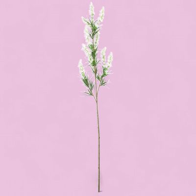 White Golden Rod Stem