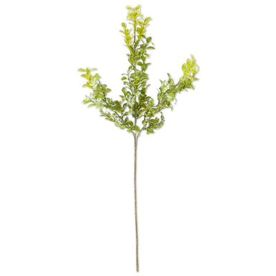 Green with Cream Leaf Spray