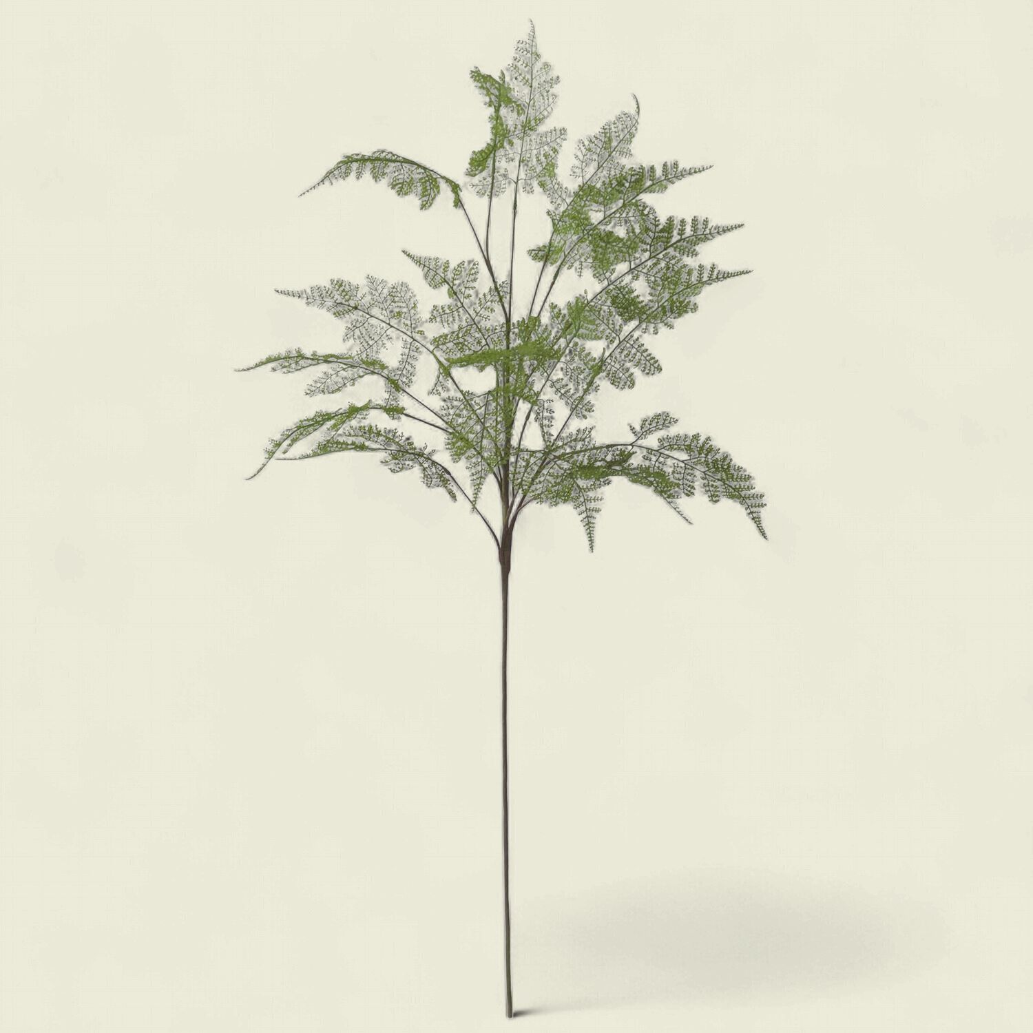 Lace Fern Spray- Real Touch