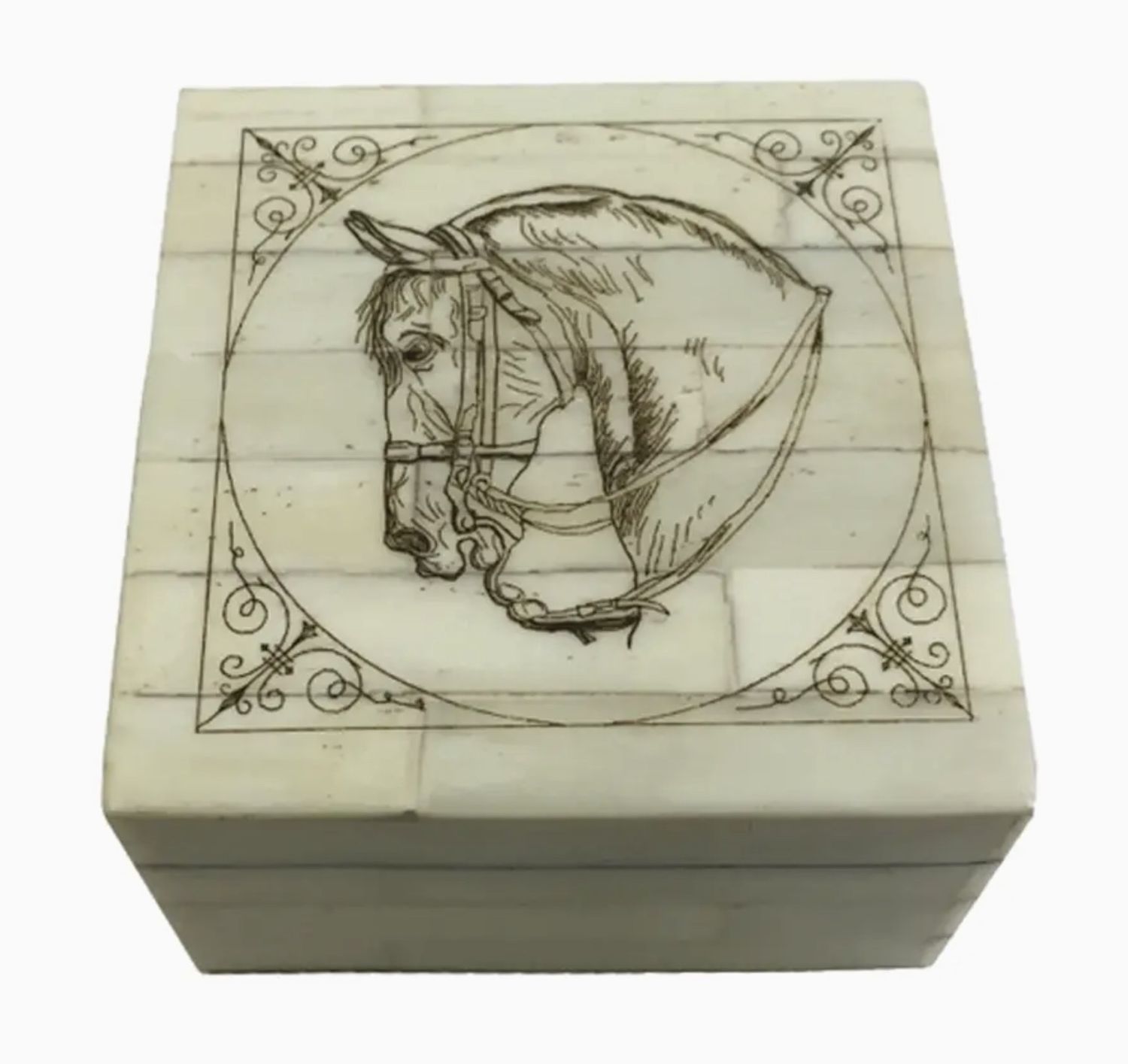 Horse Head Scrimshaw Bone Box