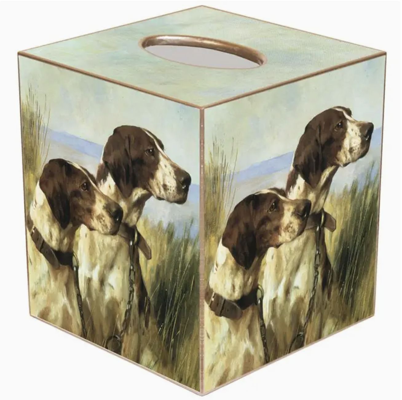 Tissue Box, Colour: Pointers