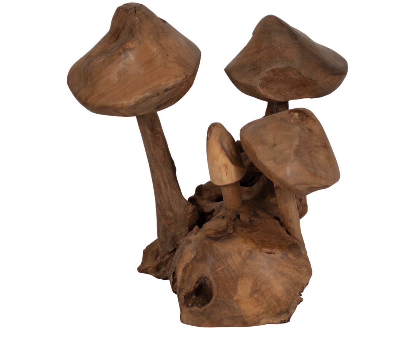 Teak Wood Mushrooms