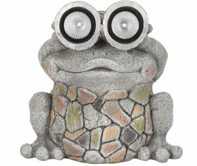 Frog w/ Solar Goggles