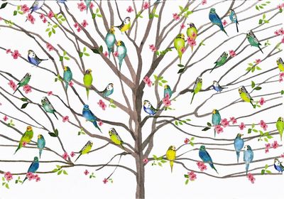 Tree of Budgies Note Cards,Tree of Budgies Note Cards