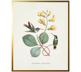 Hummingbird on Leaves w/ Flowers Framed Print I