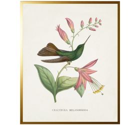 Hummingbird on Leaves w/ Flowers Framed Print II