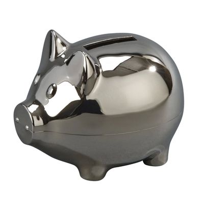 Polished Piggy Bank