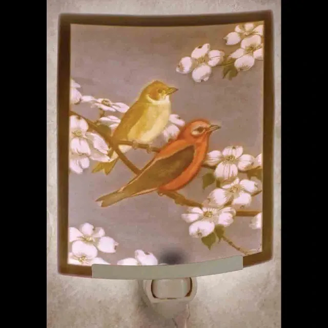 Morning Song Night Light