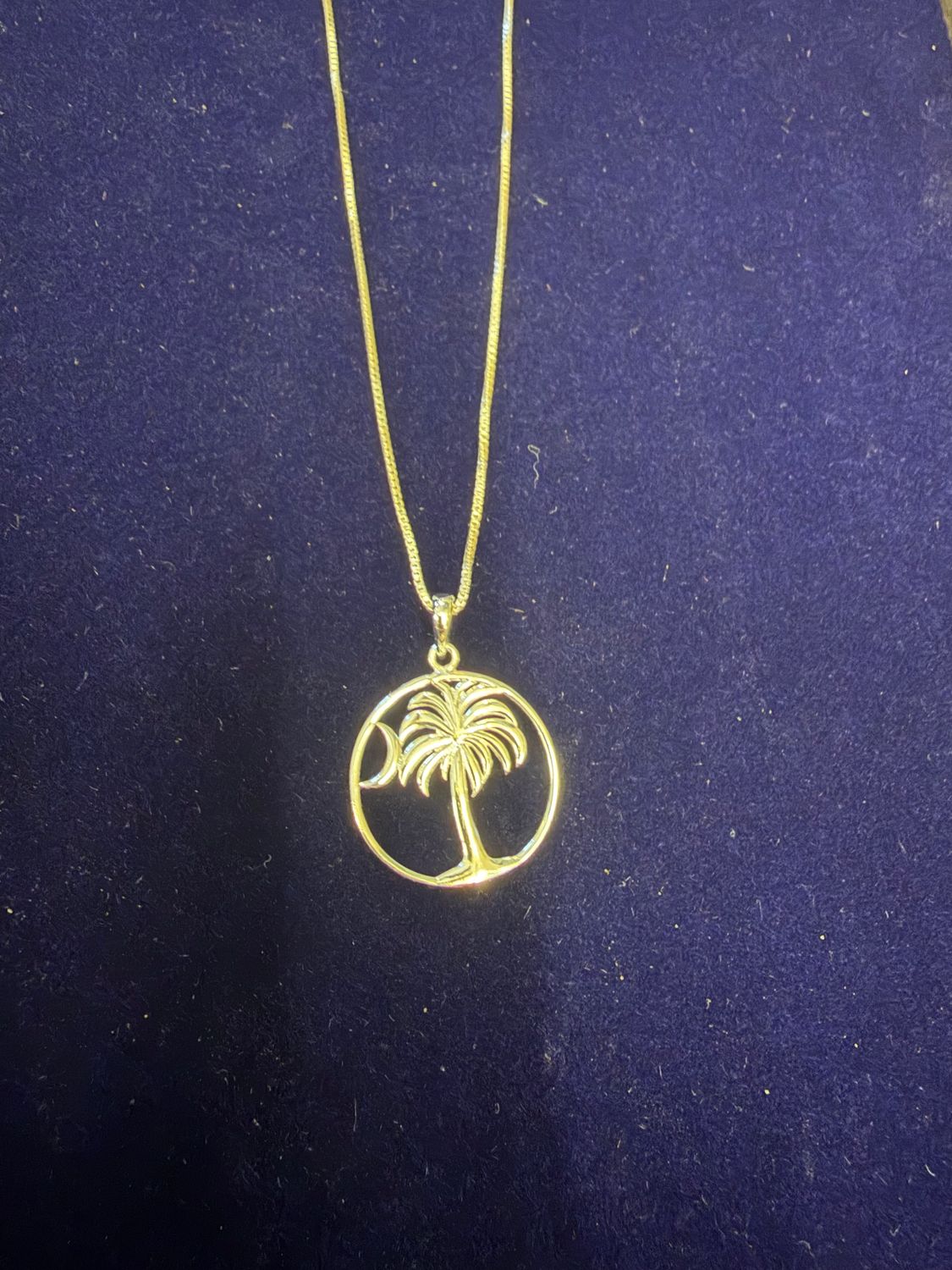 Sterling Silver Palmetto Moon Necklace