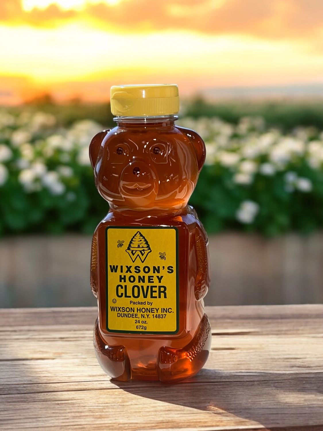 Raw Clover Bear Honey 24 oz.