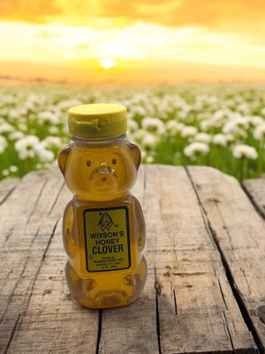 Raw Clover Bear Honey 12 oz.