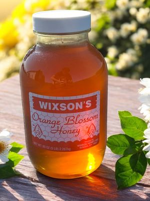 Raw Orange Blossom Honey 80 oz.