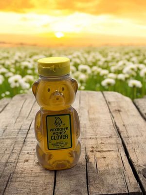 Raw Clover Bear Honey 12 oz. (CASE OF 12)