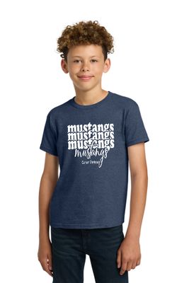 Carson Montessori Spirit Tees