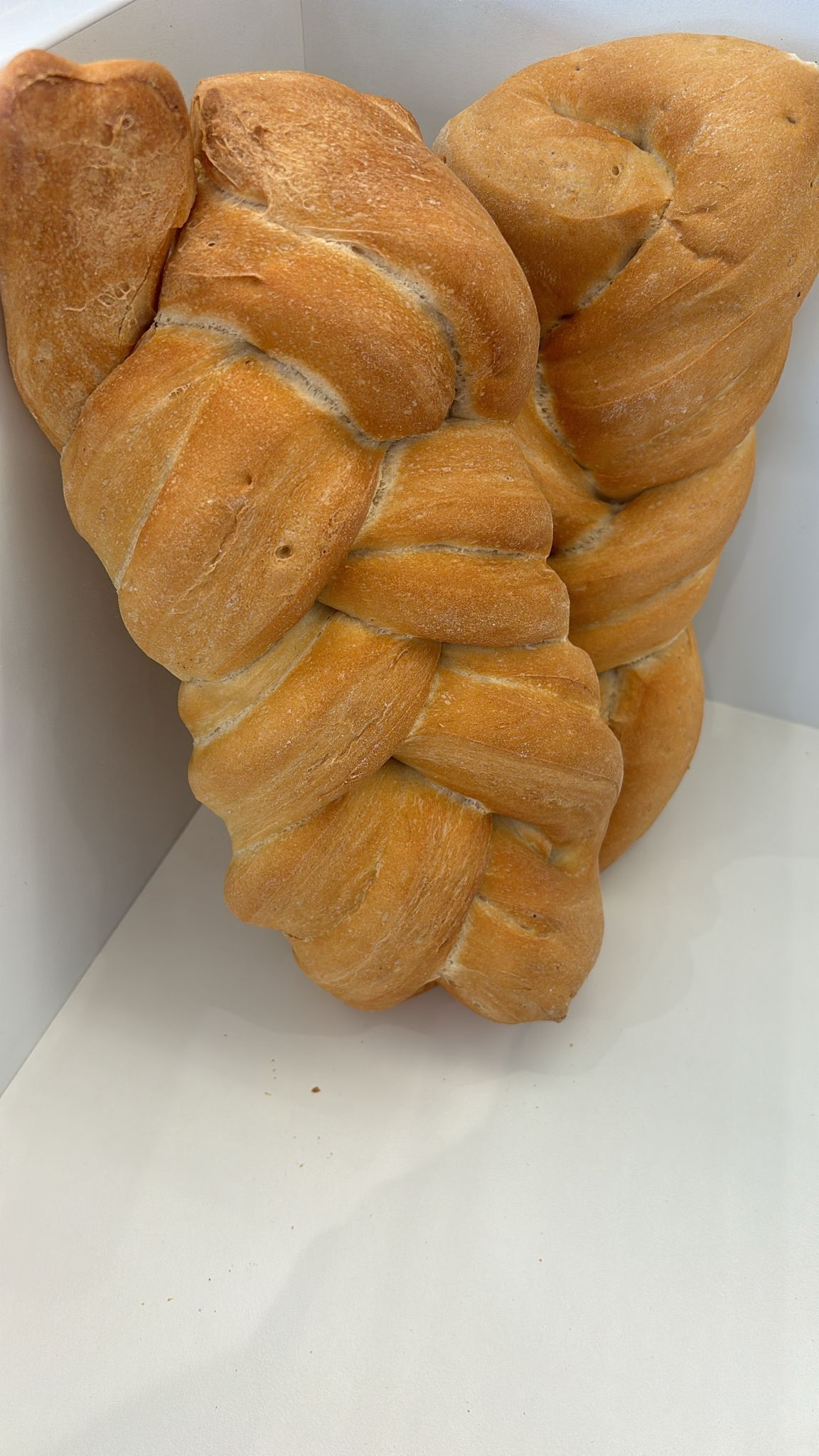 Trecce farine di grano tenero