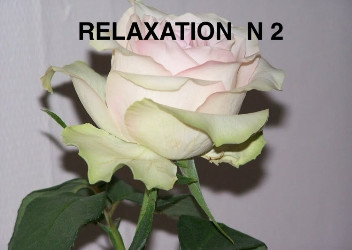 Relaxation N°2