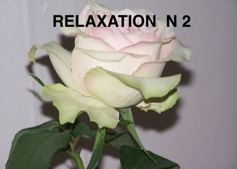 Relaxation N°2