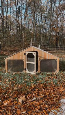 Chicken Tractor